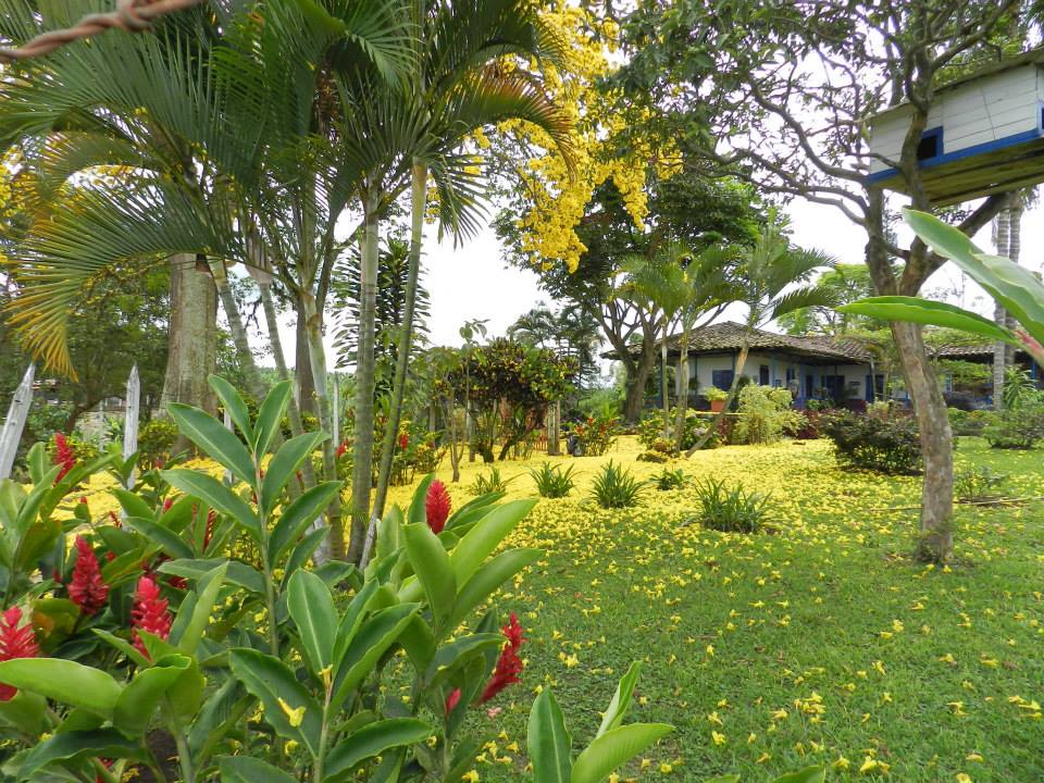 hacienda cafetera